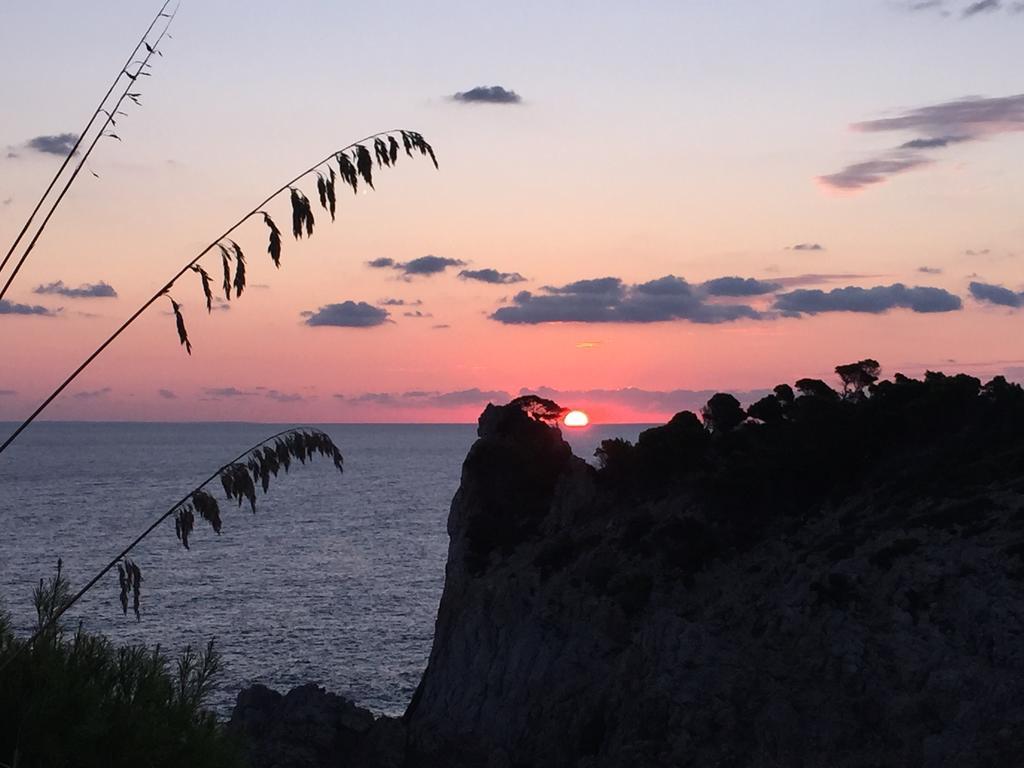L'olla Vakantiehuis Cala Ratjada (Mallorca)
